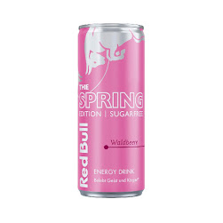 Redbull Wildberry 250ml (24can/case)