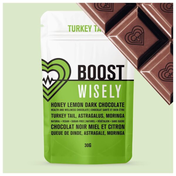 Fonctionnal Chocolat Wisely - Boost 30g (10bag/box)